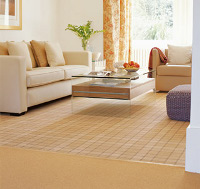 carpet-home carpet-home